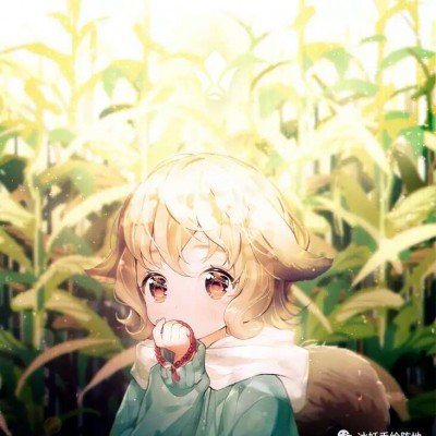 等洛克王国开门